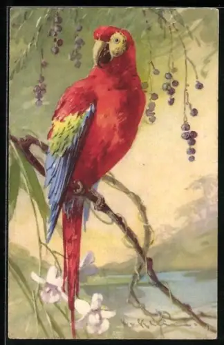 Künstler-AK Catharina Klein: Ara Papagei schaut von einem Ast herunter