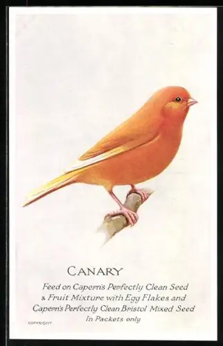 Künstler-AK Reklame für Capern's Perfectly Clean Seed & Fruit Mixture, Caranry, Kanarienvogel