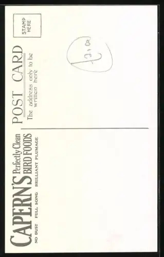 Künstler-AK Reklame für Capern's Perfectly Clean Seed & Fruit Mixture, Caranry, Kanarienvogel