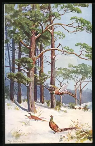 Künstler-AK August Splitgerber: Fasane im winterlichen Wald