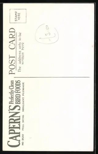 Künstler-AK Parrot, Feed on Capern`s Parrot Food