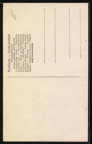 AK Prinz Wilhelm von Preussen, Der jüngste Hohenzoller!