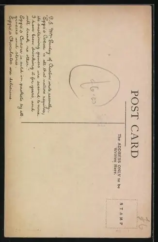 AK Epps`s Nature Series No 5, The Bat, Fledermaus schlafend und fliegend