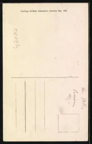 AK Stettin, Partie am Feldhofbrunnen