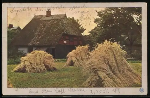 Foto-AK RPH: Lachende Fluten, Roggenernte
