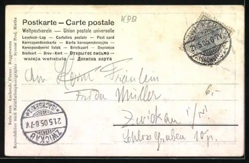 Foto-AK RPH: Lachende Fluten, Roggenernte