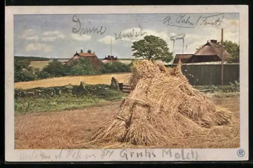 Foto-AK RPH Nr. 1010: Heuballen liegen auf einem sonnigen Feld