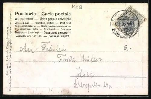 Foto-AK RPH Nr. 1010: Heuballen liegen auf einem sonnigen Feld