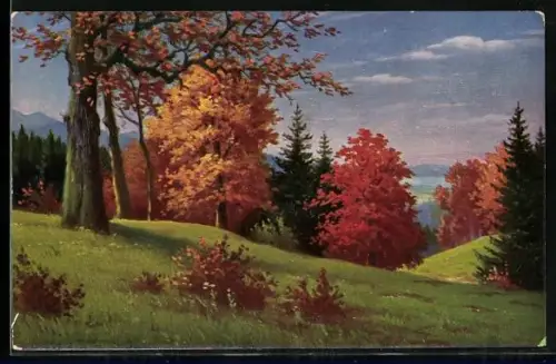 Künstler-AK Degi Nr. 1279: Landschaft am Bodensee von W. Hoy