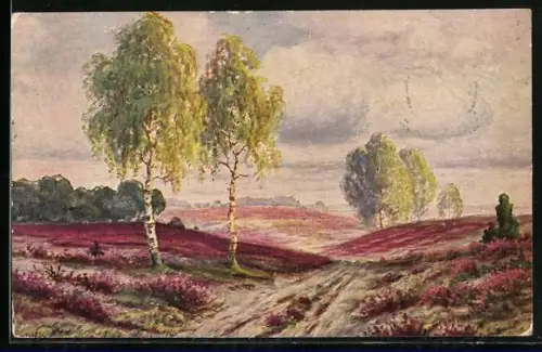 Künstler-AK Degi Nr.1081: Blühende Heide