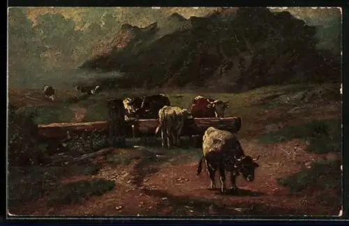 AK Kühe an einer Tränke