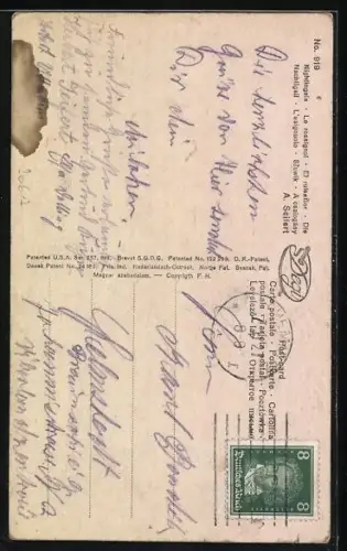 Ölgemälde-Imitations-AK Degi Nr. 919: Dame spielt Musik im Garten