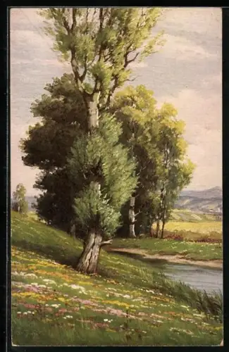 Ölgemälde-Imitations-AK Degi Nr. 1411: Weiden am Bach