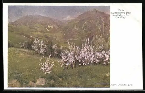Künstler-AK Brüder Kohn (B.K.W.I) Nr. 854-10: Wien, Leopoldsberg und Kahlenberg im Frühling