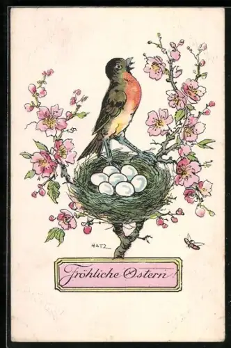 Künstler-AK Brüder Kohn (B.K.W.I) Nr. 4627-1: Rotkehlchen sitzt im Nest mit Eiern und bringt Ostergrüsse