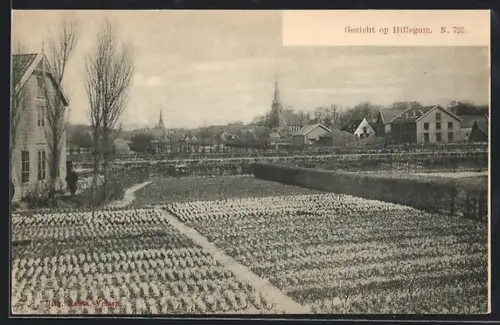 AK Hillegom, Dorpgezicht