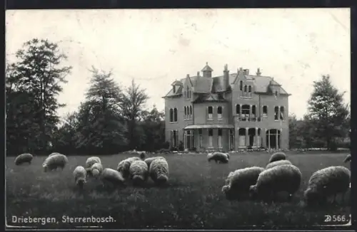 AK Driebergen, Sterrenbosch