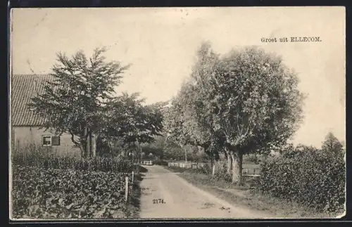 AK Ellecom, Strassenpartie mit Anwesen