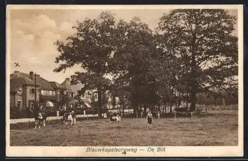 AK De Bilt, Blauwkapelscheweg