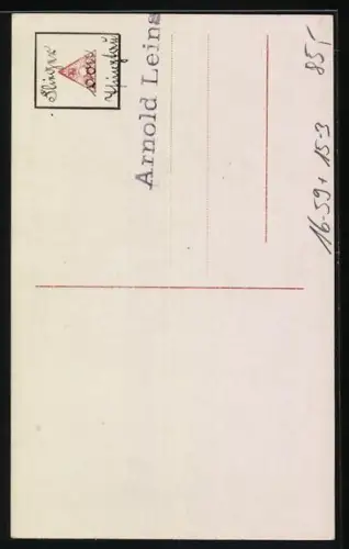 Foto-AK Sanke Nr. 550: Kapitänleutnant Plüschow, der Flieger von Tsingtao