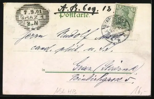 AK Warmbrunn /Schlesien, Gräfl. Schloss mit Schloss Strasse in hölzernem Rahmen