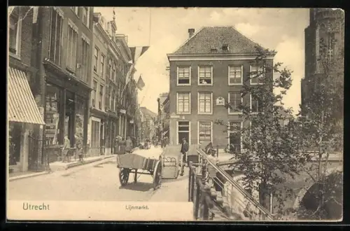 AK Utrecht, Lijnmarkt