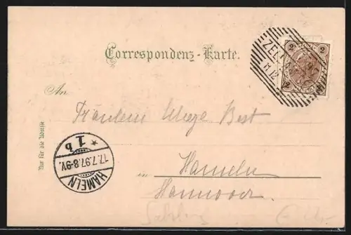 Lithographie Zell a. See, Totalansicht vom Calvarienberg, Marktplatz und Hôtel Krone