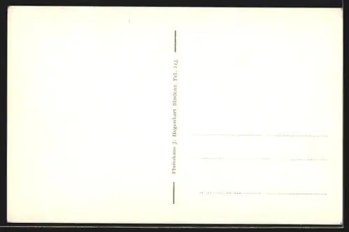AK Brand, Gasthaus Grüner Wald, Aussenansicht