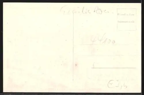 AK Ferrara, Piazza Trento e Trieste e Cattedrale