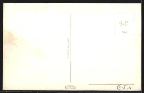 AK Malcesine /Lago di Garda, Panorama