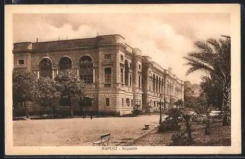 AK Napoli, Acquario