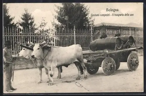 AK Bologna, Costumi campestri, Il transporto delle uve