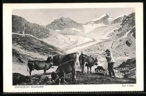 AK Reklame Chocolat Suchard, Sur l`Alpe