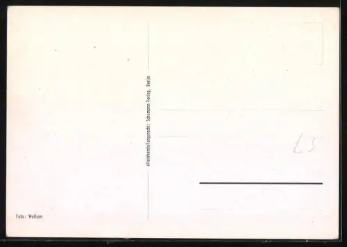 AK Wilhelm Strientz, Brustbild, Heimat, deine Sterne, Text