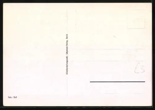 AK Musiker Lucas-Trio mit Instrumenten und Liedtext Kleiner Bär von Berlin