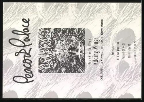 AK Musiker der Band Peacock Palace in Bühnenoutfits, Autogramme