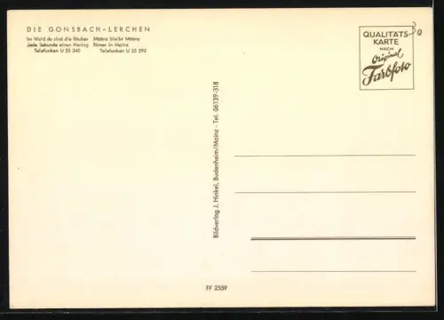 AK Musiker der Band Die Gonsbach-Lerchen mit Instrumenten