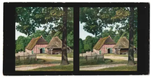 Stereo-Fotografie Chromoplast No. 230, Lüneburger Heide, alter Bauernhof in der Heide