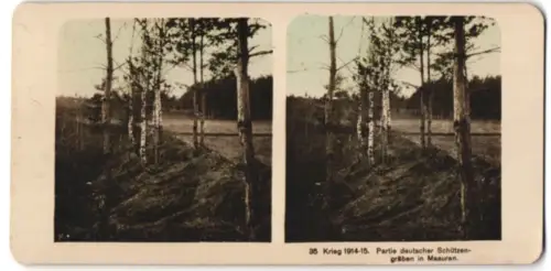 Stereo-Fotografie M. Rohmer, Leipzig, Partie deutscher Schützengräben in Masuren, Krieg 1914-15