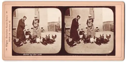 Stereo-Fotografie Allg. Deutscher Kunst-Verein, Berlin, Berliner auf dem Lande, Mann füttert die Hühner