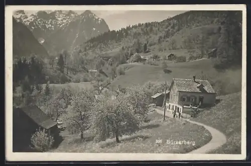 AK Bürserberg, Ortspartie mit Bergen