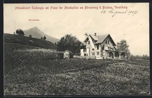 AK Tschengla /Vorarlberg, Pension am Bürserberg mit Mondspitze