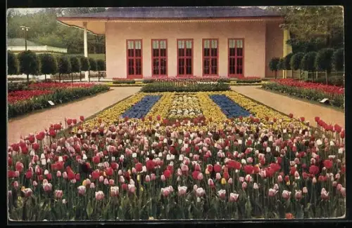 AK Dresden, Jubiläums-Gartenbau-Ausstellung 1926, Schmuckanlage am Haupteingang