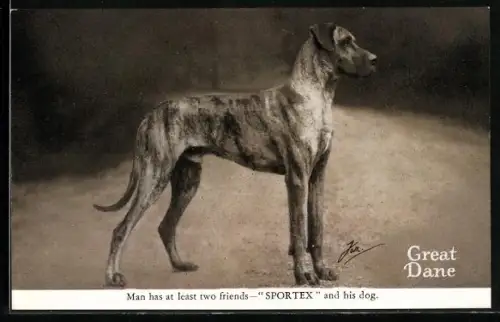 AK Man has at least tow friends, Sportex and his dog, Great Dane, Dogge