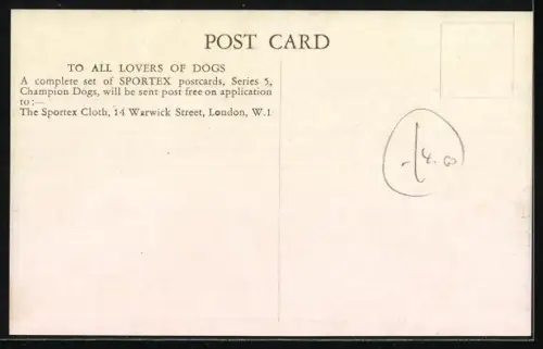 AK Man has at least tow friends, Sportex and his dog, Great Dane, Dogge