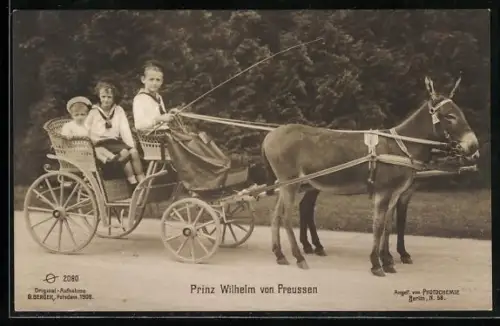 AK Kronprinz Wilhelm von Preussen im Eselgespann