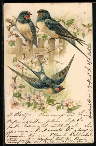 AK Meisen auf einem Zaun