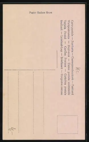 Foto-AK Photochemie Berlin Nr. 4031-4: Frau badet am Waldrand