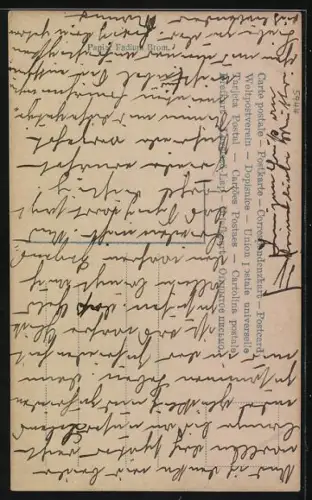 Foto-AK Photochemie Berlin Nr. 4031-4: Frau badet am Waldrand