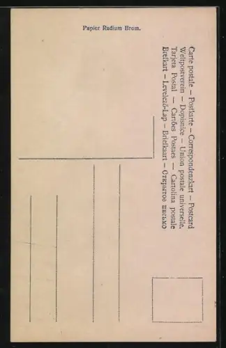 Foto-AK Photochemie Berlin Nr. 855-1: Carmen, Frau in Kostüm mit Kopfschmuck